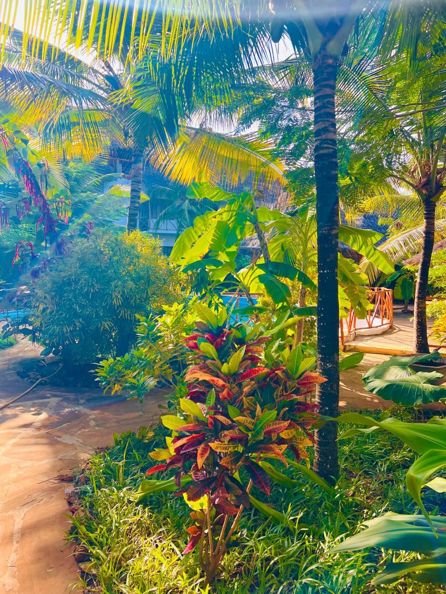 ホテル Tropical ナングウィ エクステリア 写真