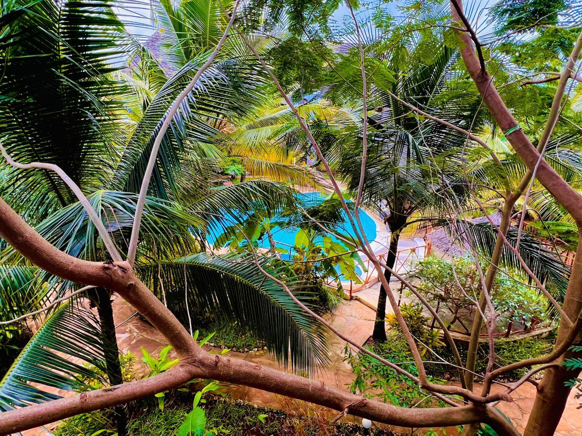 ホテル Tropical ナングウィ エクステリア 写真
