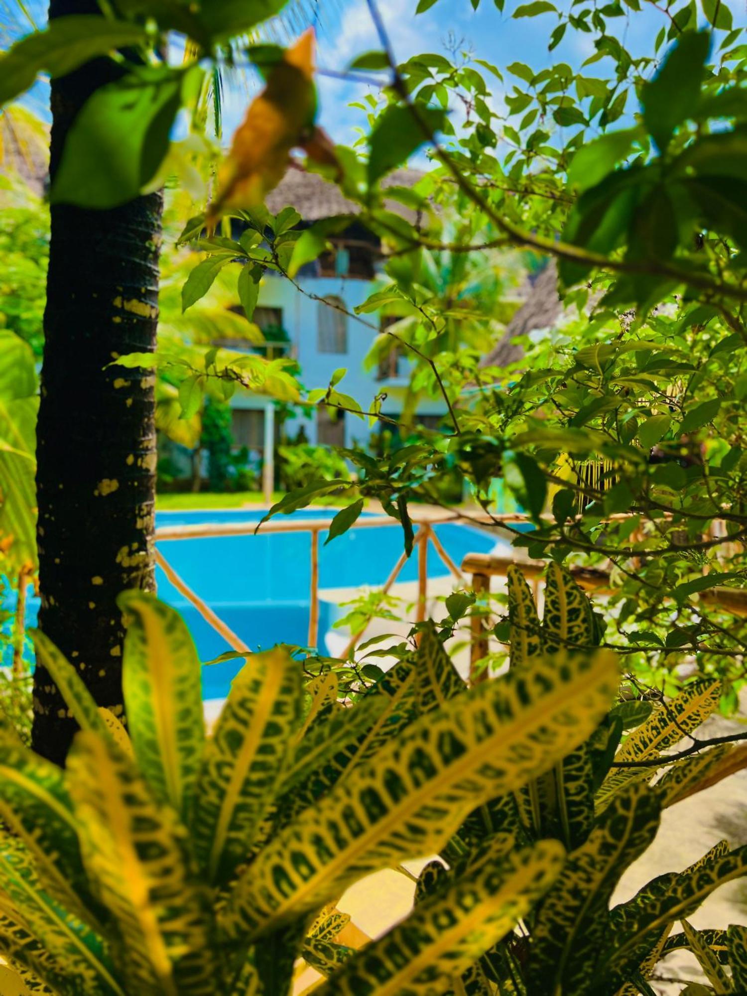 ホテル Tropical ナングウィ エクステリア 写真
