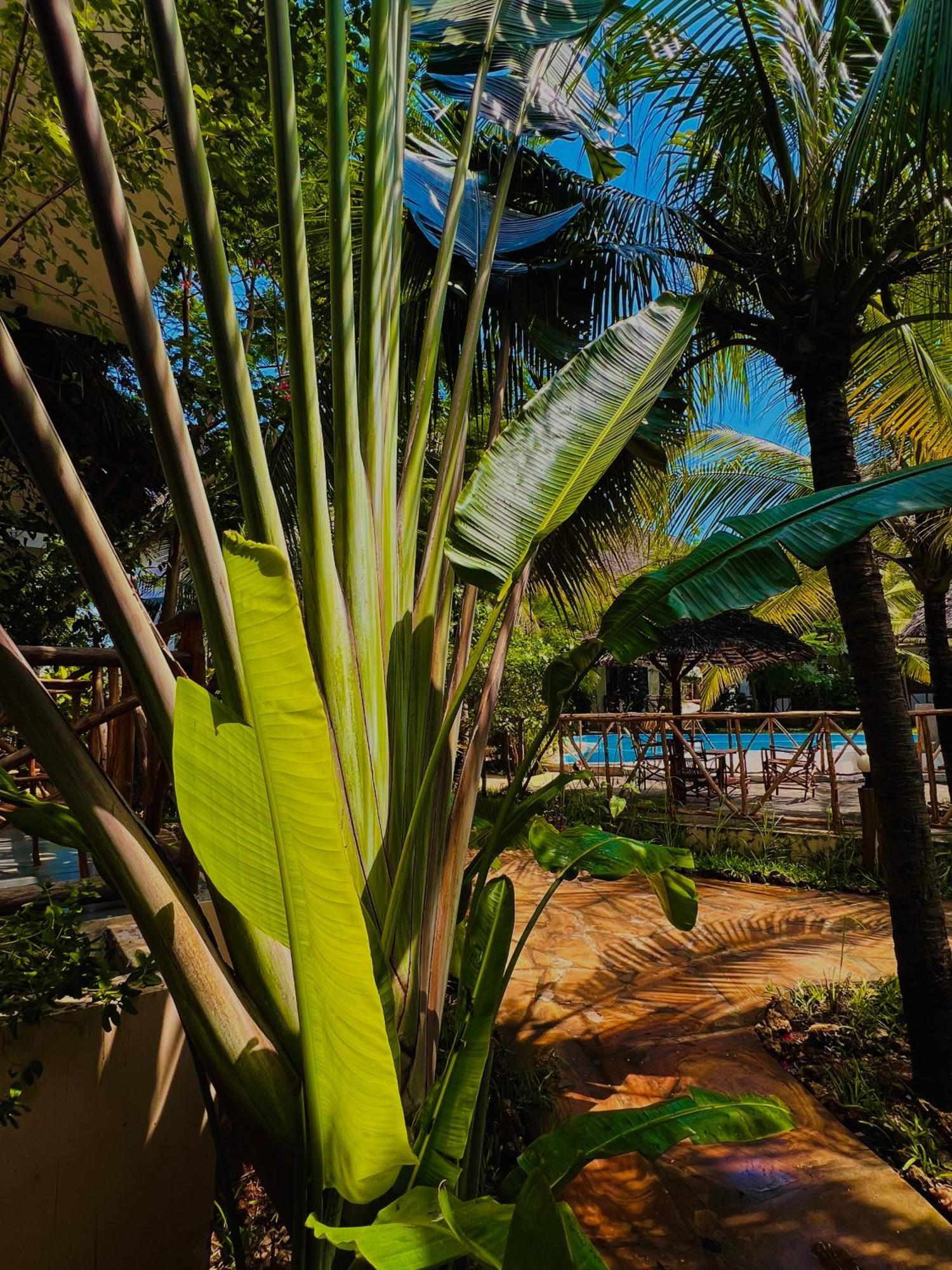 ホテル Tropical ナングウィ エクステリア 写真